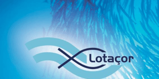 Lotaçor – Isenção de taxas asseguradas até setembro DR