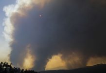 Primeiro balanço aponta para seis mil hectares ardidos no fogo de Oleiros