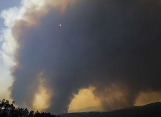Primeiro balanço aponta para seis mil hectares ardidos no fogo de Oleiros