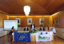 LIFE BEETLES com um investimento de 1,8 milhões de euros nas ilhas do Pico, Terceira e Flores