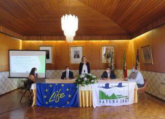 LIFE BEETLES com um investimento de 1,8 milhões de euros nas ilhas do Pico, Terceira e Flores