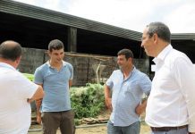 Governo dos Açores avança com beneficiação de caminho de uso agrícola que liga a Candelária à Vista do Rei, em São Miguel DR/GACS