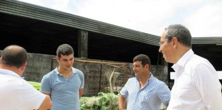 Governo dos Açores avança com beneficiação de caminho de uso agrícola que liga a Candelária à Vista do Rei, em São Miguel DR/GACS