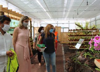 Governo dos Açores investe mais de 200 mil euros na ampliação dos viveiros do Jardim Botânico do Faial