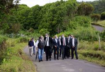 Governo dos Açores investe 6 ME em infraestruturas agrícolas do Faial nesta