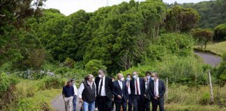 Governo dos Açores investe 6 ME em infraestruturas agrícolas do Faial nesta