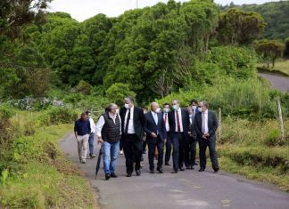 Governo dos Açores investe 6 ME em infraestruturas agrícolas do Faial nesta