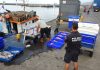Apreendidos 700 kgs de peixe – Polícia Marítima da Horta intercepta embarcação a pescar ilegalmente no Banco Condor