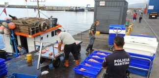 Apreendidos 700 kgs de peixe – Polícia Marítima da Horta intercepta embarcação a pescar ilegalmente no Banco Condor
