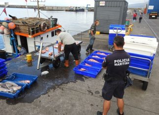 Apreendidos 700 kgs de peixe – Polícia Marítima da Horta intercepta embarcação a pescar ilegalmente no Banco Condor
