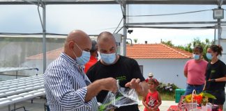 Empreendedorismo jovem na ilha do Faial