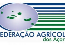 Matadouros da Região – Federação Agrícola dos Açores preocupada com greve geral