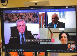 X Jornadas Parlamentares Atlânticas – Presidentes da Macaronésia decidem reagendar encontro para 2021 DR