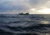 Polícia Marítima apreende arte de pesca e cerca de 90Kg de pescado ao largo da ilha de São Miguel