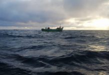 Polícia Marítima apreende arte de pesca e cerca de 90Kg de pescado ao largo da ilha de São Miguel