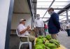 Agricultura. Bolieiro defende agroalimentos como valor acrescentado na criação de riqueza DR/PSD