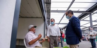 Agricultura. Bolieiro defende agroalimentos como valor acrescentado na criação de riqueza DR/PSD