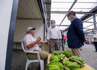 Agricultura. Bolieiro defende agroalimentos como valor acrescentado na criação de riqueza DR/PSD