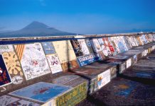 Associação de Turismo Sustentável do Faial
