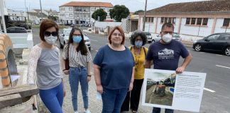 BE propõe elaboração de plano de arborização para Angra do Heroísmo