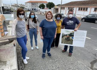 BE propõe elaboração de plano de arborização para Angra do Heroísmo