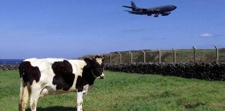 Lajes: Trabalhadores a termo integrados ou com contratos melhorados