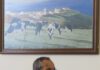 Governo dos Açores abre nova fase de candidaturas à reconversão de explorações leiteiras em carne de bovino na ilha de São Miguel DR/GACS