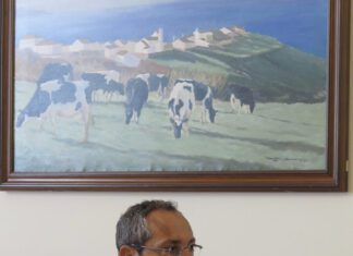 Governo dos Açores abre nova fase de candidaturas à reconversão de explorações leiteiras em carne de bovino na ilha de São Miguel DR/GACS