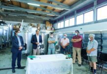 Candidaturas da Terceira aprovadas no VITIS vão permitir recuperar mais 16 hectares de vinha DR/GACS