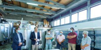 Candidaturas da Terceira aprovadas no VITIS vão permitir recuperar mais 16 hectares de vinha DR/GACS