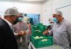 Crescimento da produção de meloa em Santa Maria é bom exemplo da aposta na diversificação agrícola, afirma João Ponte DR/GACS