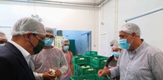Crescimento da produção de meloa em Santa Maria é bom exemplo da aposta na diversificação agrícola, afirma João Ponte DR/GACS
