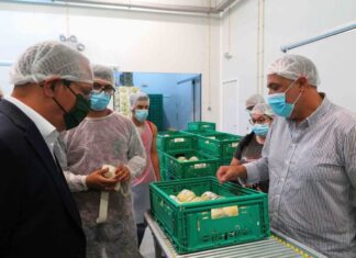Crescimento da produção de meloa em Santa Maria é bom exemplo da aposta na diversificação agrícola, afirma João Ponte DR/GACS