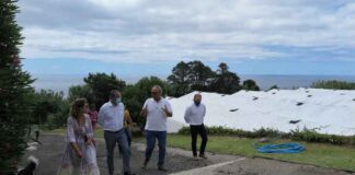 Área afeta à agricultura em modo de produção biológico aumentou 50% na corrente legislatura, afirma João Ponte