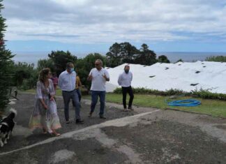Área afeta à agricultura em modo de produção biológico aumentou 50% na corrente legislatura, afirma João Ponte
