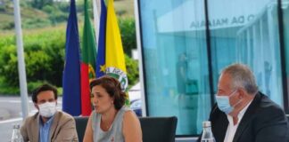 “Projeto “CALÇOS” quer facilitar acesso a emprego aos mais fragilizados”, diz Andreia Cardoso