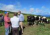 Candidaturas ao Estatuto da Agricultura Familiar nos Açores a partir de amanhã