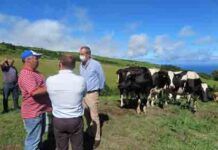 Candidaturas ao Estatuto da Agricultura Familiar nos Açores a partir de amanhã