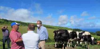 Candidaturas ao Estatuto da Agricultura Familiar nos Açores a partir de amanhã