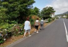 Idosos da Madalena Unidos na Luta Contra o Cancro