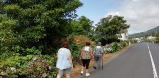 Idosos da Madalena Unidos na Luta Contra o Cancro