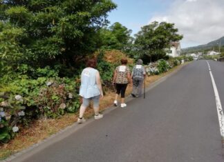 Idosos da Madalena Unidos na Luta Contra o Cancro