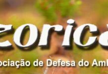 Azorica em crise diretiva – Falta de participação coloca em causa sobrevivência da associação ambiental DR