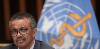 Covid-19: Organização Mundial da Saúde admite que pode nunca vir a existir uma “panaceia” contra a doença