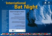 “International Bat Night” – Parque Natural do Faial promove noite de observação de Morcegos