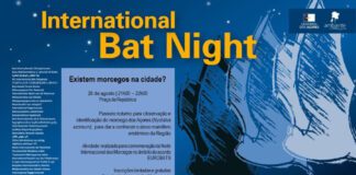 “International Bat Night” – Parque Natural do Faial promove noite de observação de Morcegos