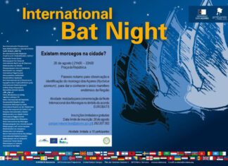“International Bat Night” – Parque Natural do Faial promove noite de observação de Morcegos