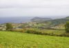 Período pós-2020 – Agricultores das RUPs da UE adotam a mesma estratégia de defesa do POSEI DR