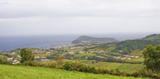 Período pós-2020 – Agricultores das RUPs da UE adotam a mesma estratégia de defesa do POSEI DR