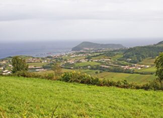 Período pós-2020 – Agricultores das RUPs da UE adotam a mesma estratégia de defesa do POSEI DR